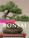 faszinatin_bonsai-2016_04_20012003.jpg